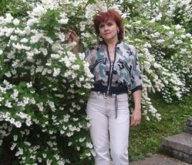 Оксана, 49 лет, Київ
