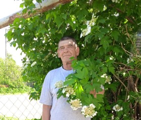 Сергей, 59 лет, Ишеевка