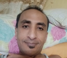 وليد, 40, Cairo