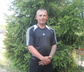 Евгений, 41 год, Орёл