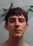 Лев - Пенза