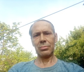 Дима, 43 года, Луганск
