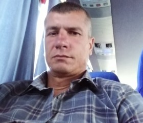 Дима, 42 года, Тула