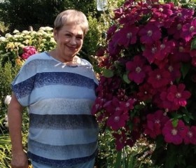 Людмила, 66 лет, Москва