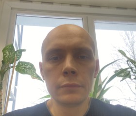 Николай, 40 лет, Пермь