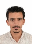 Mohamed, 30 лет, طنطا