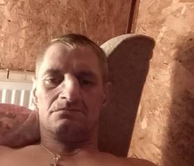 Андрей, 48 лет, Александров