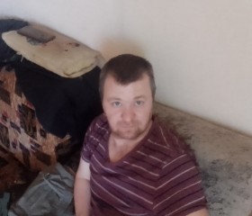 Андрей, 35 лет, Петрозаводск
