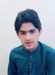Arshad Ali, 28 лет, رہ اسماعیل خان