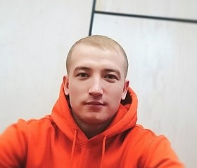 Леонид, 29 лет, Москва