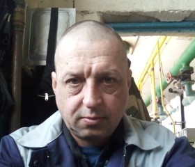 Алексей Алексеев, 46 лет, Рыбное