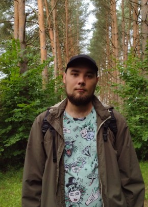 Stas Aleev, 27, Estonia, Narva