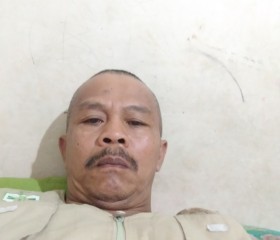 Faklizar Zai, 56 лет, Kota Medan