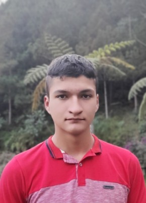 Ronal, 24, República de Colombia, Manzanares