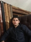 Шамиль, 31 год, Алматы
