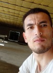 Dima Husanov, 32 года, Түркістан