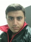 erdogan, 24 года, Kırşehir