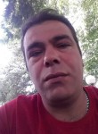 Mustafa Ali, 49 лет, Balıkesir
