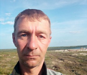 Дмитрий, 46 лет, Нижняя Омка