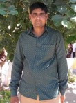 Ashok, 37 лет, Hārij