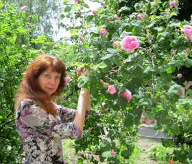 Нина, 71 год, Київ