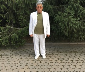 Александр, 71 год, Алматы