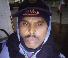 Das ashok, 41 год, Udaipur (State of Rājasthān)