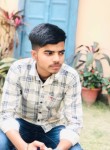 Aryan Rajput, 22 года, Ludhiana