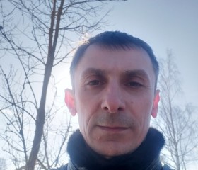 Серега, 42 года, Кольчугино