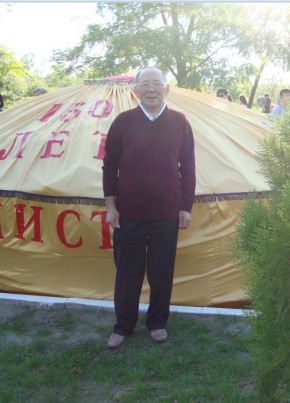 владимир, 64, Россия, Элиста