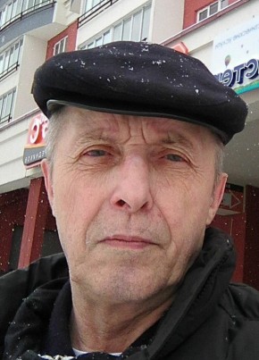 Владимир, 71, Россия, Ногинск