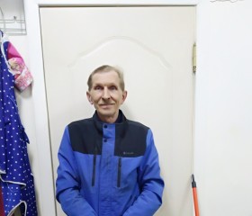 Владимир Карабан, 60 лет, Ростов-на-Дону