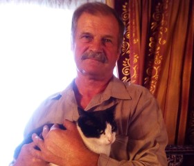 Геннадий, 68 лет, Владимир
