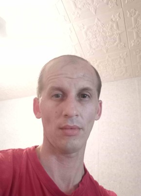 алексей, 40, Россия, Чехов