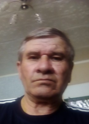 Анатолий, 66, Россия, Хворостянка