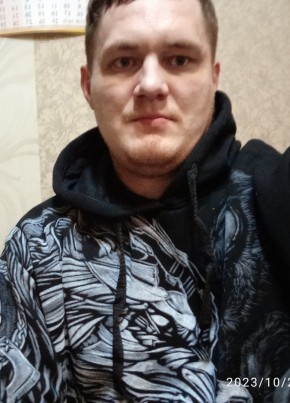 Nikolay, 31, Russia, Kamyshlov