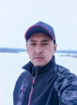 Alik, 31, Krasnoarmeysk (MO)