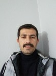 Oğuz, 31  , Kosekoy