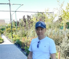 болотбек, 55 лет, Бишкек
