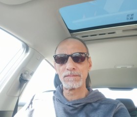 هانى, 41, Cairo