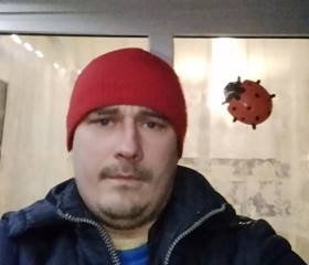 Denis, 42 года, Лошніца