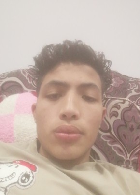 محمد سعد بدر, 19, جمهورية مصر العربية, القاهرة