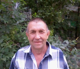 вадим, 64 года, Саратов