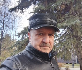 Владимир, 70 лет, Уфа