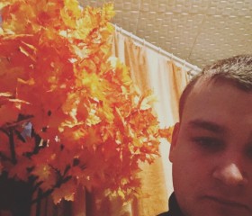 Aleksey, 31 год, Ковдор
