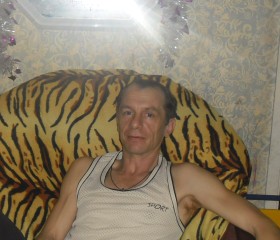 Игорь Юдин, 52 года, Нарышкино