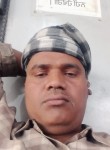 Biharu, 42 года, Amritsar