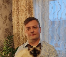 Максимус, 41 год, Богородск