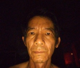 Trần Minh Hoa, 52 года, Thành phố Hồ Chí Minh