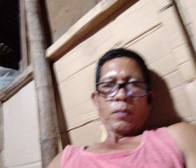 Robert arroyo, 51 год, Lungsod ng Bacolod